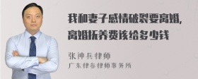 我和妻子感情破裂要离婚，离婚抚养费该给多少钱