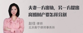 夫妻一方出轨，另一方提出离婚财产要怎样分割