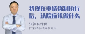 我现在申请强制执行后，法院应该做什么