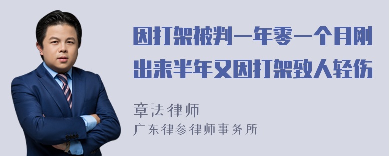 因打架被判一年零一个月刚出来半年又因打架致人轻伤