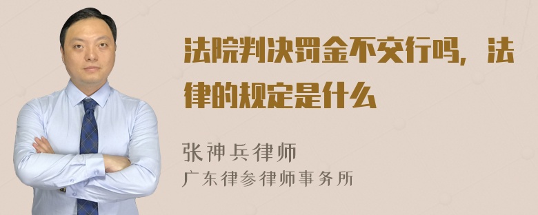 法院判决罚金不交行吗，法律的规定是什么