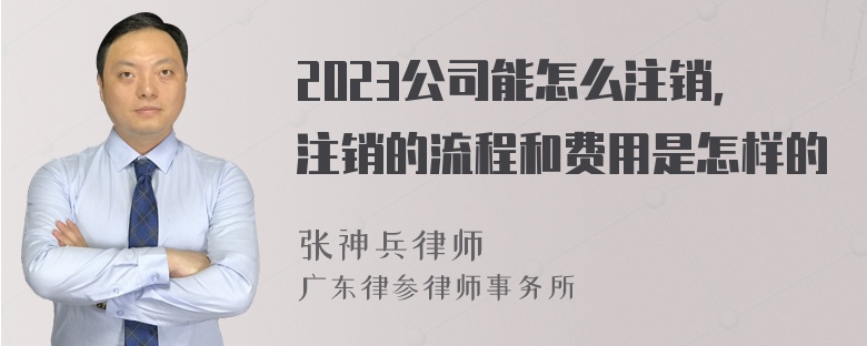 2023公司能怎么注销，注销的流程和费用是怎样的