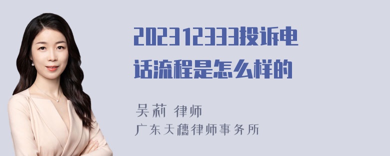 202312333投诉电话流程是怎么样的