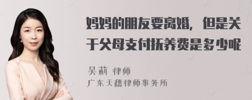 妈妈的朋友要离婚，但是关于父母支付抚养费是多少呢