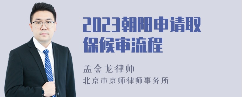 2023朝阳申请取保候审流程