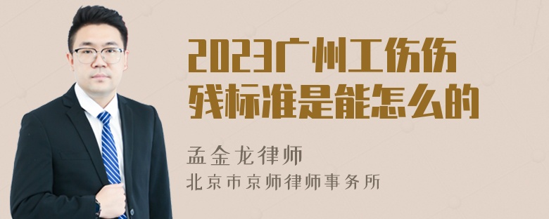 2023广州工伤伤残标准是能怎么的