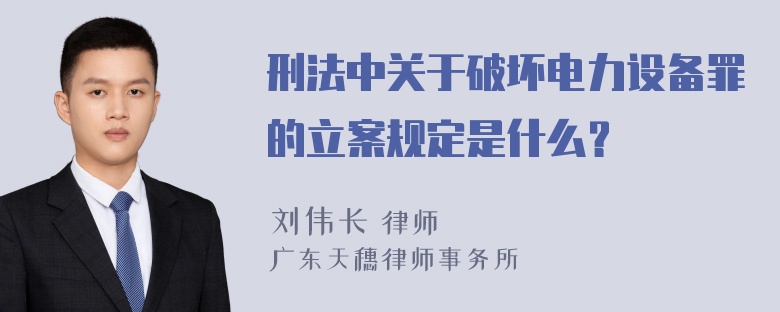 刑法中关于破坏电力设备罪的立案规定是什么？