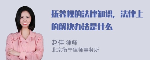 抚养权的法律知识，法律上的解决办法是什么