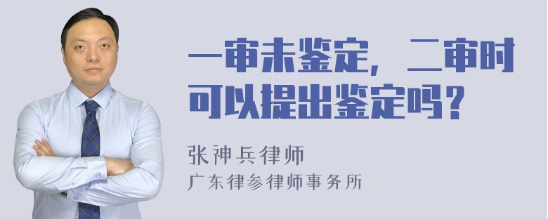 一审未鉴定，二审时可以提出鉴定吗？