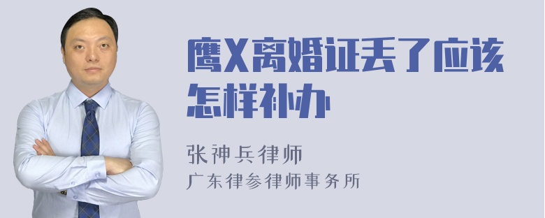 鹰X离婚证丢了应该怎样补办