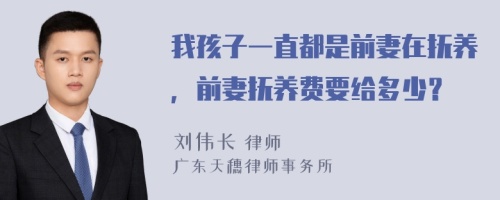 我孩子一直都是前妻在抚养，前妻抚养费要给多少？