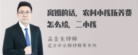 离婚的话，农村小孩抚养费怎么给，二小孩