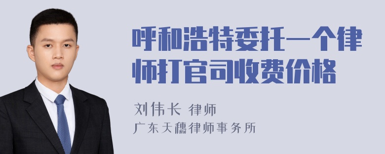 呼和浩特委托一个律师打官司收费价格