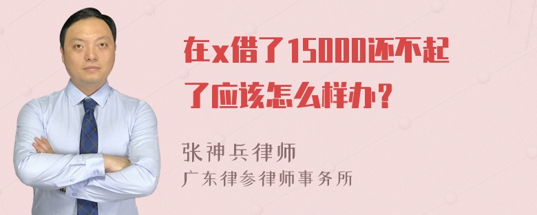 在x借了15000还不起了应该怎么样办？