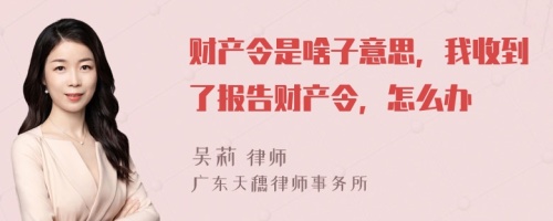 财产令是啥子意思，我收到了报告财产令，怎么办