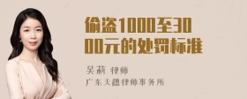 偷盗1000至3000元的处罚标准