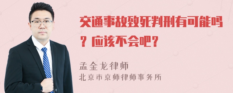 交通事故致死判刑有可能吗？应该不会吧？