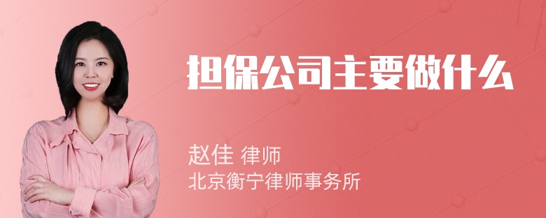 担保公司主要做什么