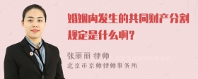 婚姻内发生的共同财产分割规定是什么啊？