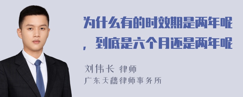 为什么有的时效期是两年呢，到底是六个月还是两年呢