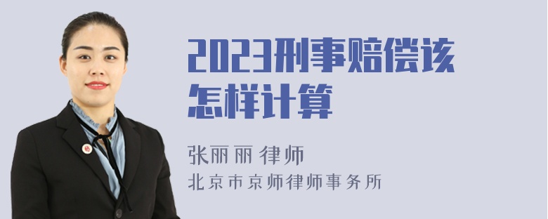 2023刑事赔偿该怎样计算