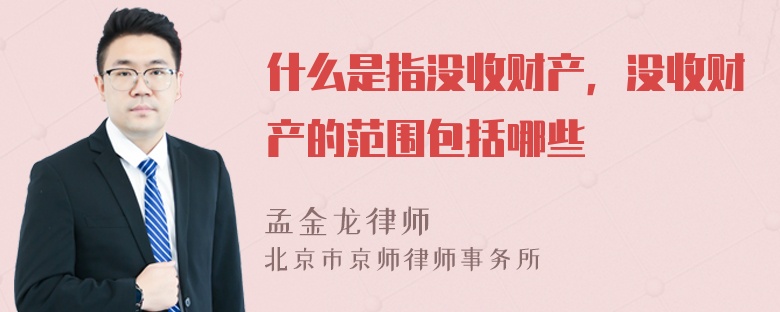 什么是指没收财产，没收财产的范围包括哪些