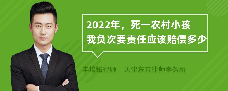 2022年，死一农村小孩我负次要责任应该赔偿多少