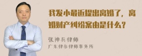 我发小最近提出离婚了，离婚财产纠纷案由是什么？