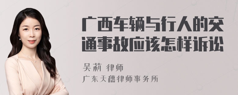 广西车辆与行人的交通事故应该怎样诉讼