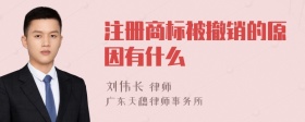 注册商标被撤销的原因有什么