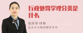 行政处罚学理分类是什么