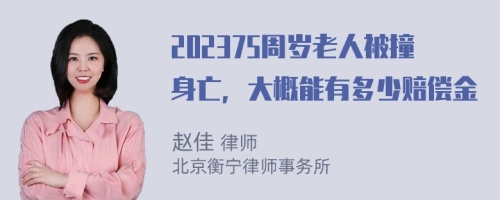 202375周岁老人被撞身亡，大概能有多少赔偿金