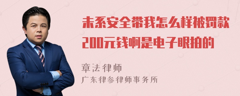 未系安全带我怎么样被罚款200元钱啊是电子眼拍的