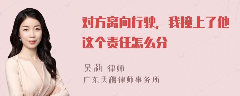 对方离向行驶，我撞上了他这个责任怎么分