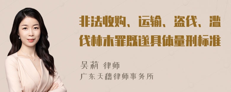 非法收购、运输、盗伐、滥伐林木罪既遂具体量刑标准