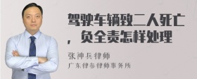 驾驶车辆致二人死亡，负全责怎样处理