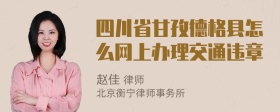 四川省甘孜德格县怎么网上办理交通违章