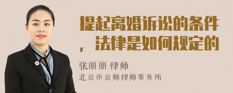 提起离婚诉讼的条件，法律是如何规定的