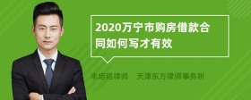 2020万宁市购房借款合同如何写才有效