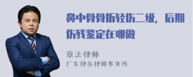 鼻中骨骨折轻伤二级，后期伤残鉴定在哪做