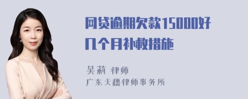 网贷逾期欠款15000好几个月补救措施