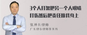 3个人打架把另一个人眼睛打伤然后把责任推我身上