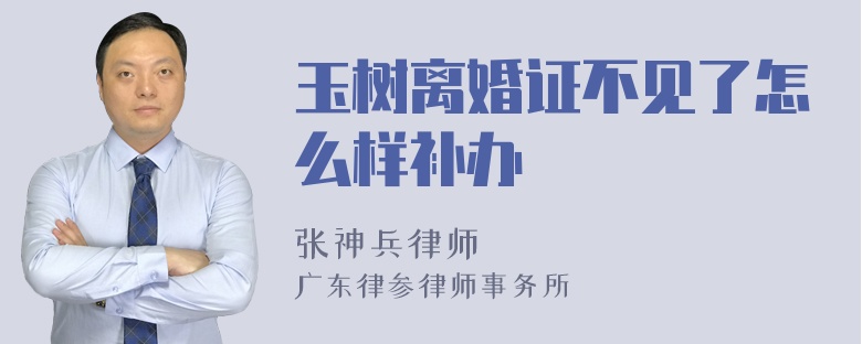 玉树离婚证不见了怎么样补办