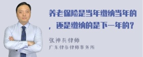 养老保险是当年缴纳当年的，还是缴纳的是下一年的？