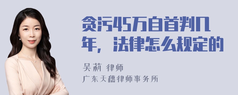 贪污45万自首判几年，法律怎么规定的