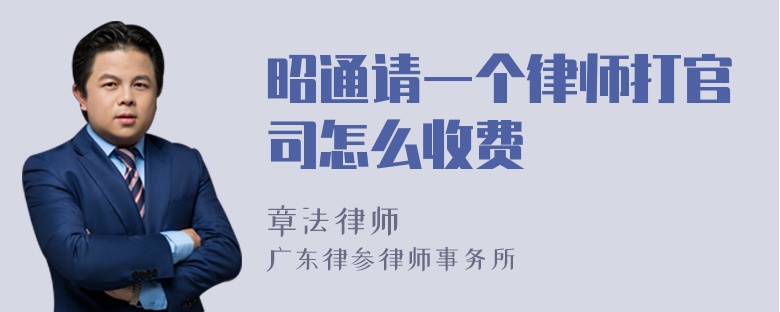 昭通请一个律师打官司怎么收费