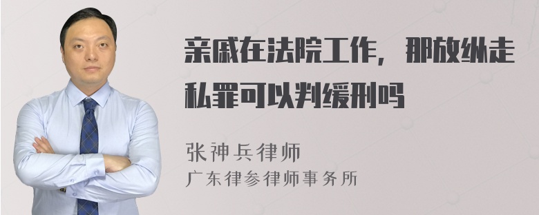 亲戚在法院工作，那放纵走私罪可以判缓刑吗