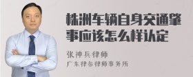 株洲车辆自身交通肇事应该怎么样认定