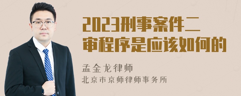 2023刑事案件二审程序是应该如何的