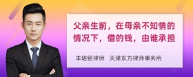 父亲生前，在母亲不知情的情况下，借的钱，由谁承担